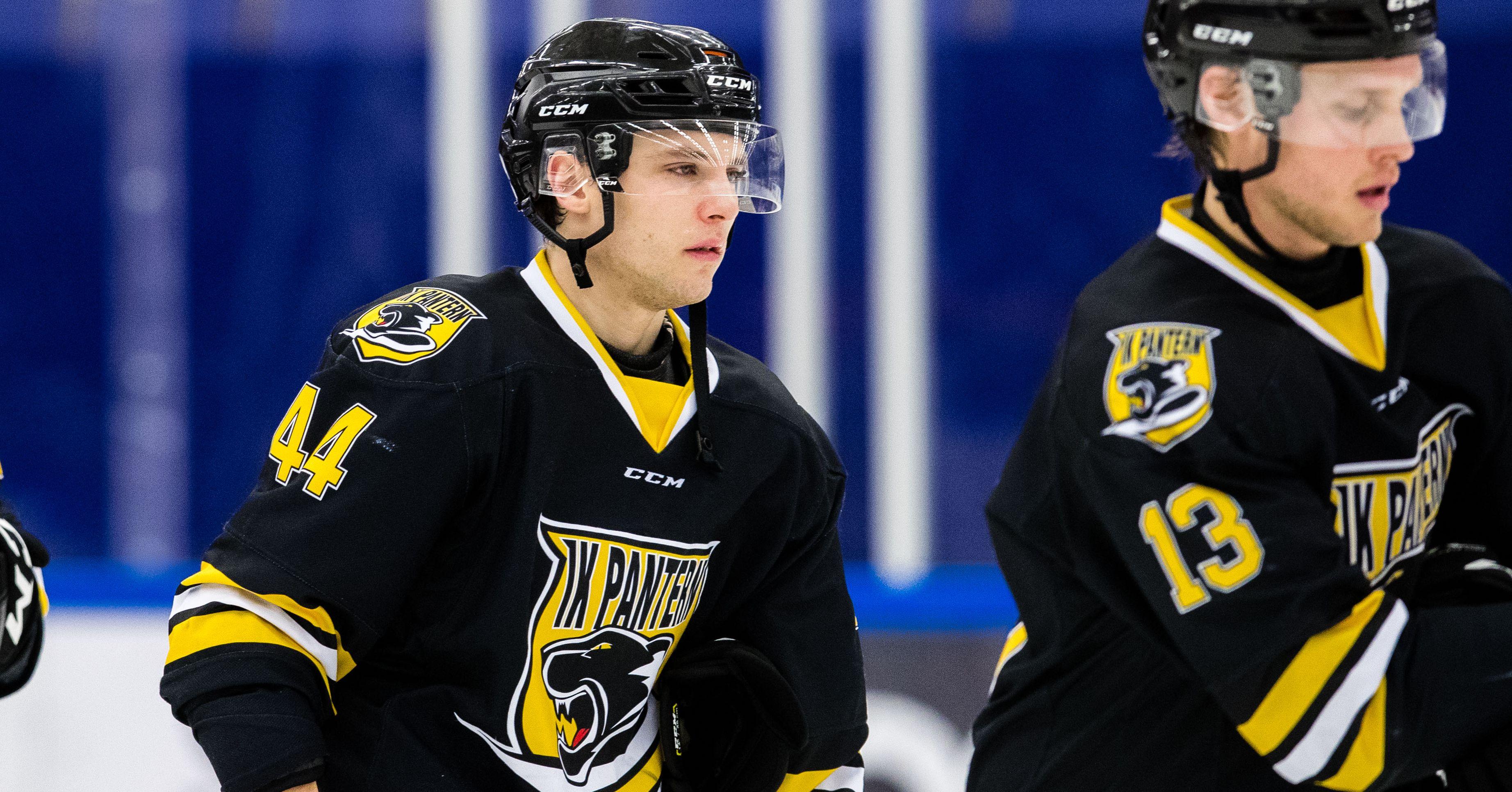 Den SHL-meriterade forwarden är högaktuell för Västervik