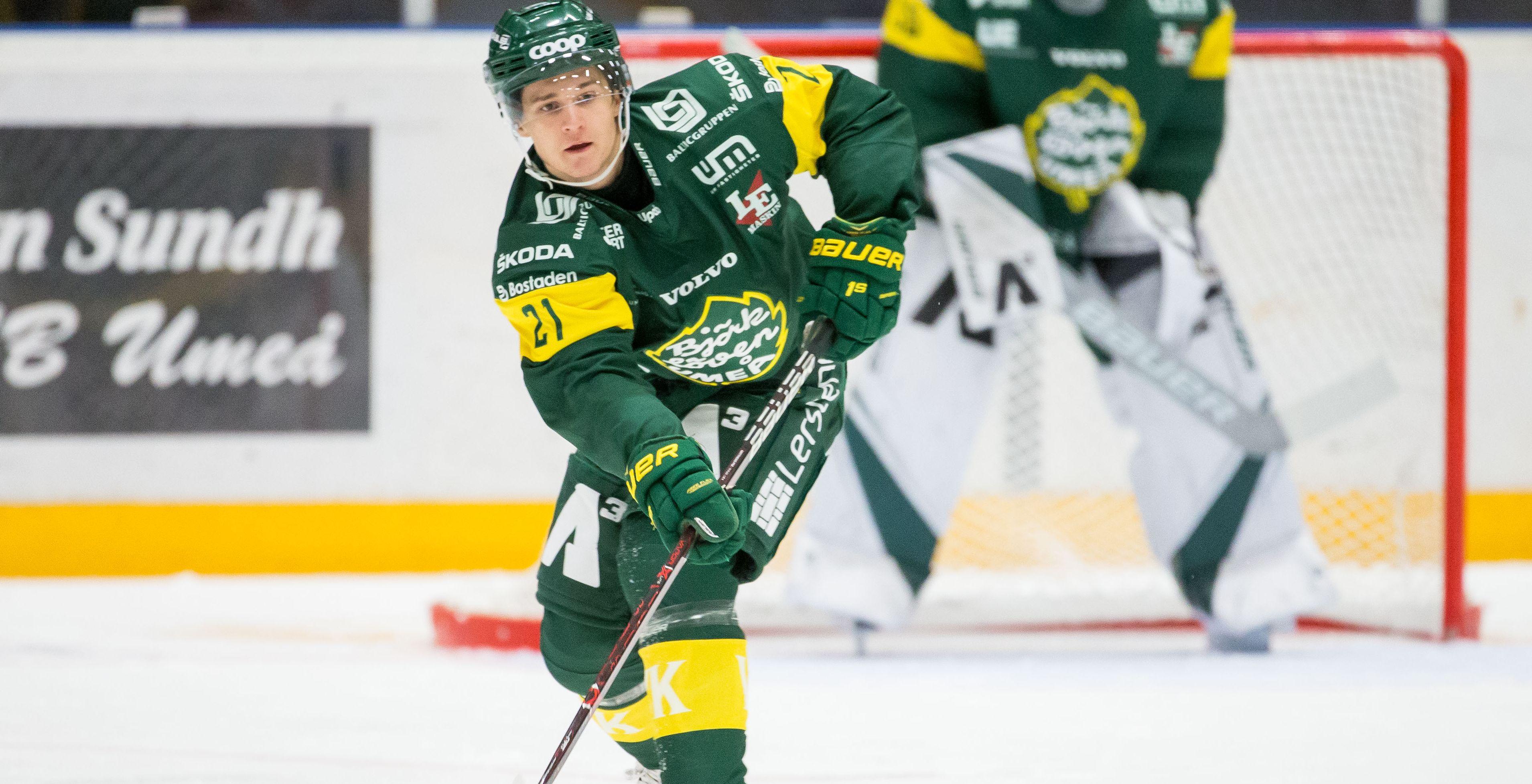 Från Björklöven till Hockeyettan