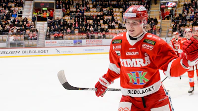 Erik Walli Walterholm