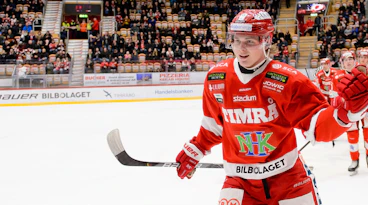 Erik Walli Walterholm