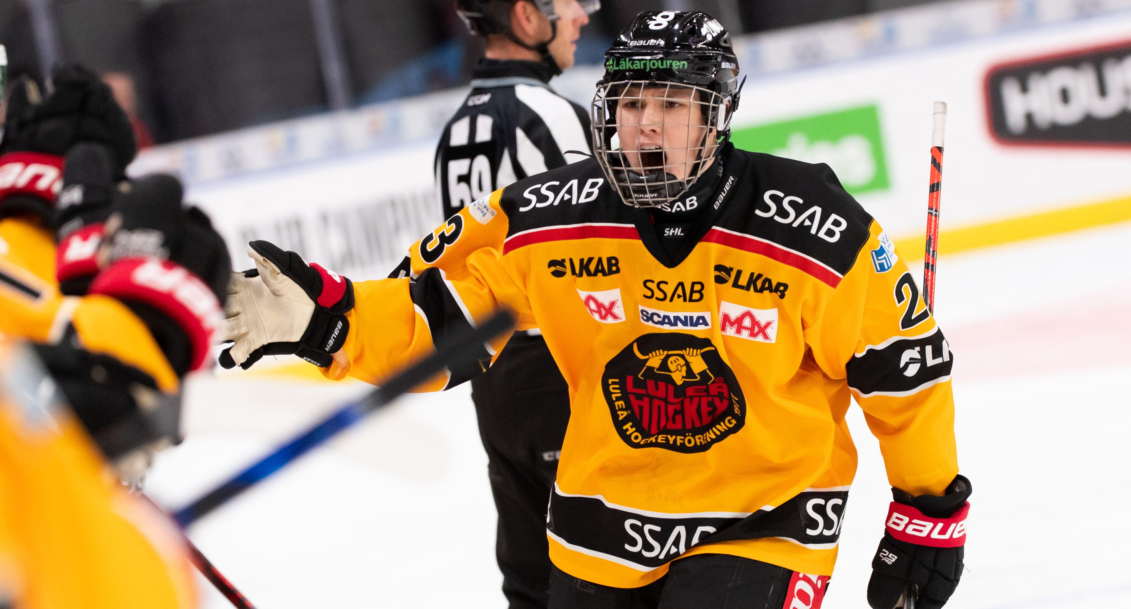 Stortalangen uppges lämna Luleå