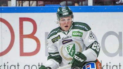 Fabian Zetterlund