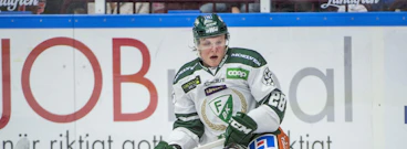 Fabian Zetterlund
