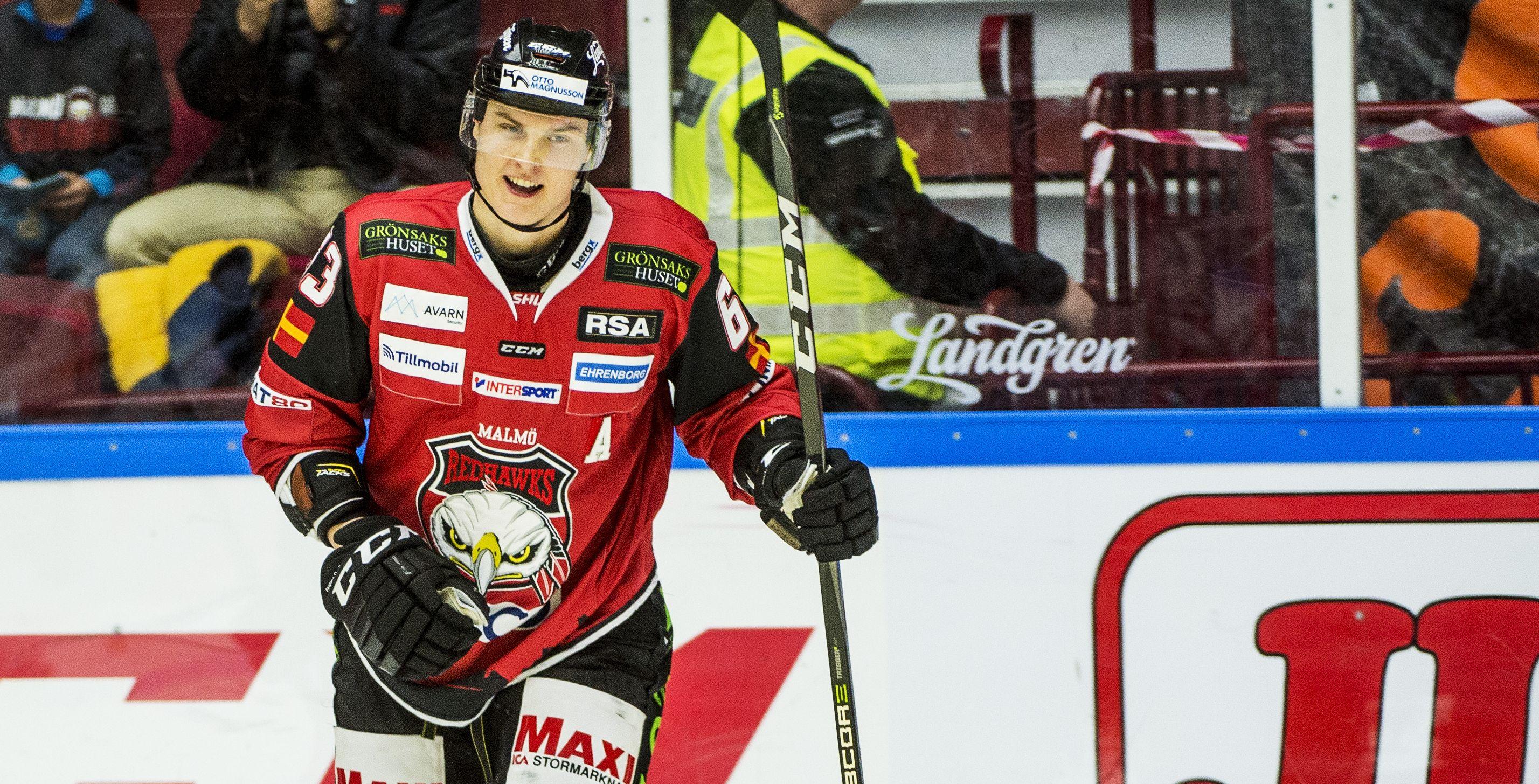 SHL-spelaren avstängd i tre matcher