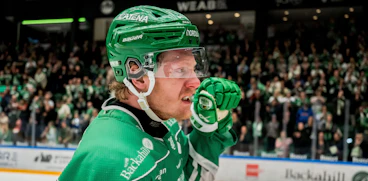 Fredrik Olofsson Rogle Petter Arvidson