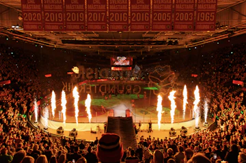 Frolunda publik