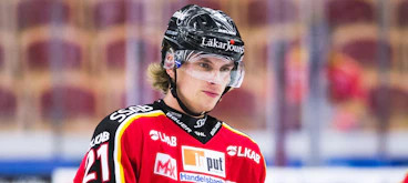 Gustav Willman Borvik