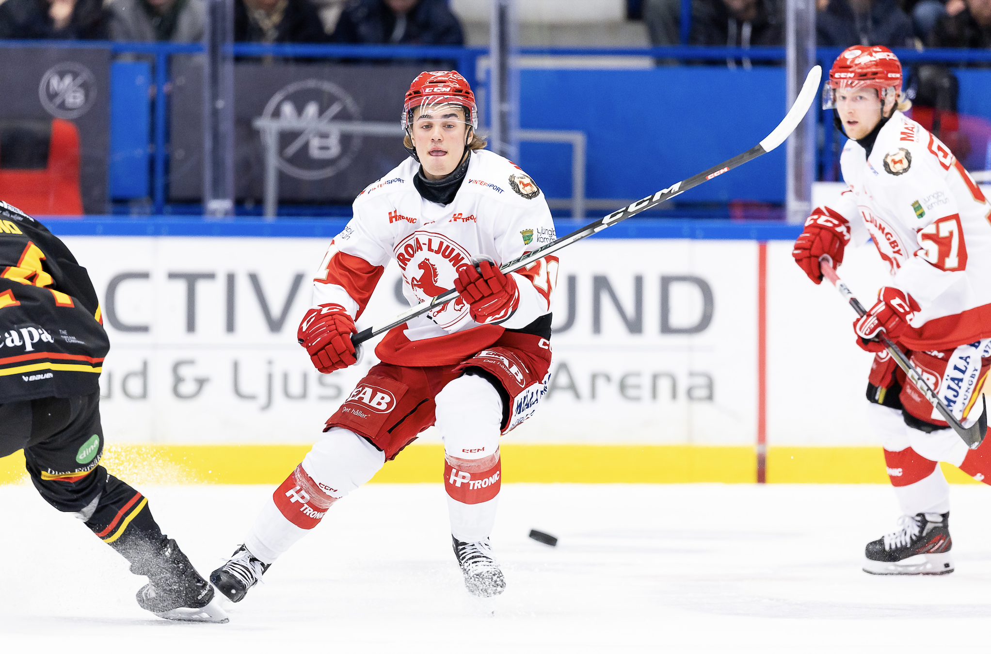 SHL-meriterad forward till Västervik