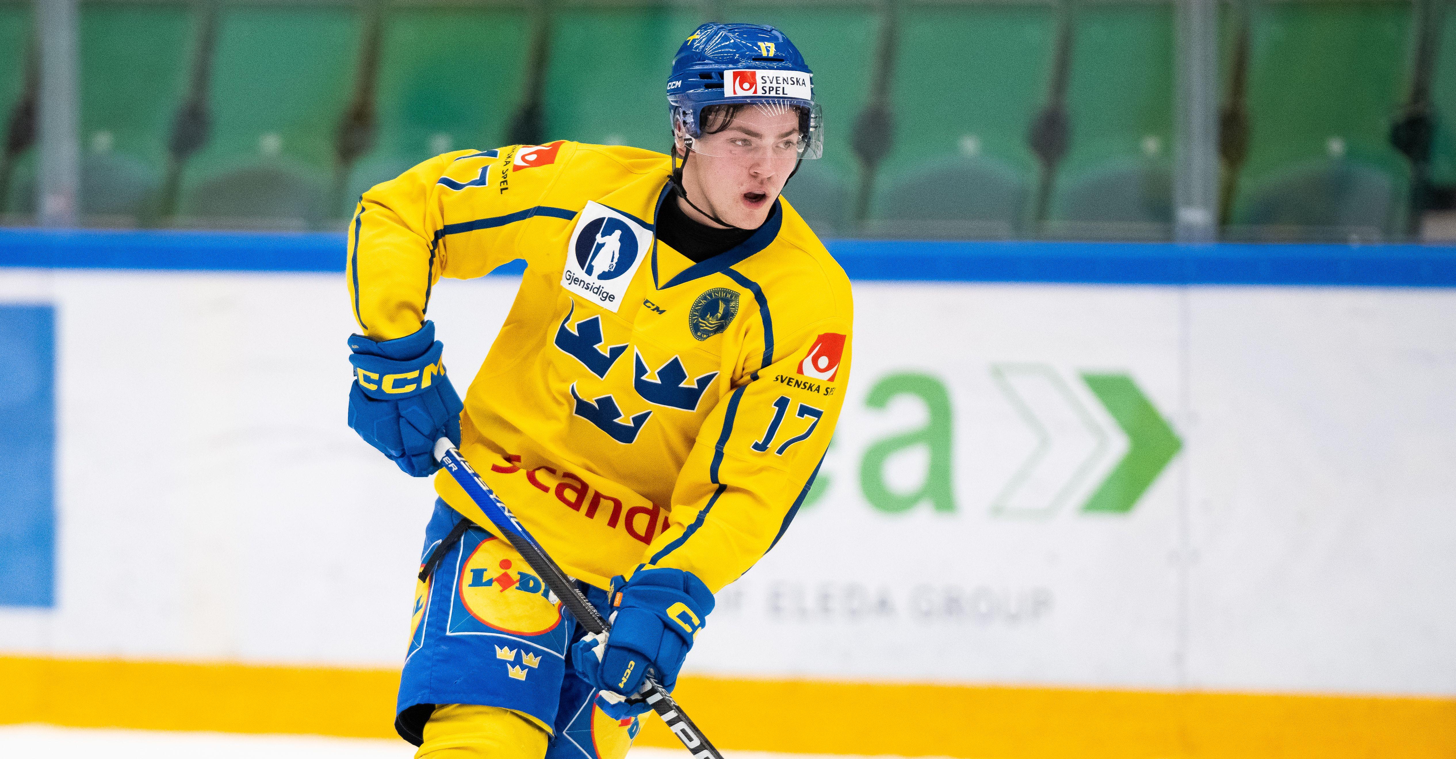SHL-meriterad forward ansluter