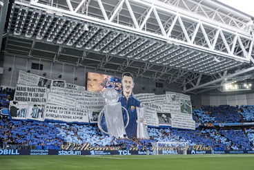 Haris Radetinac tifo