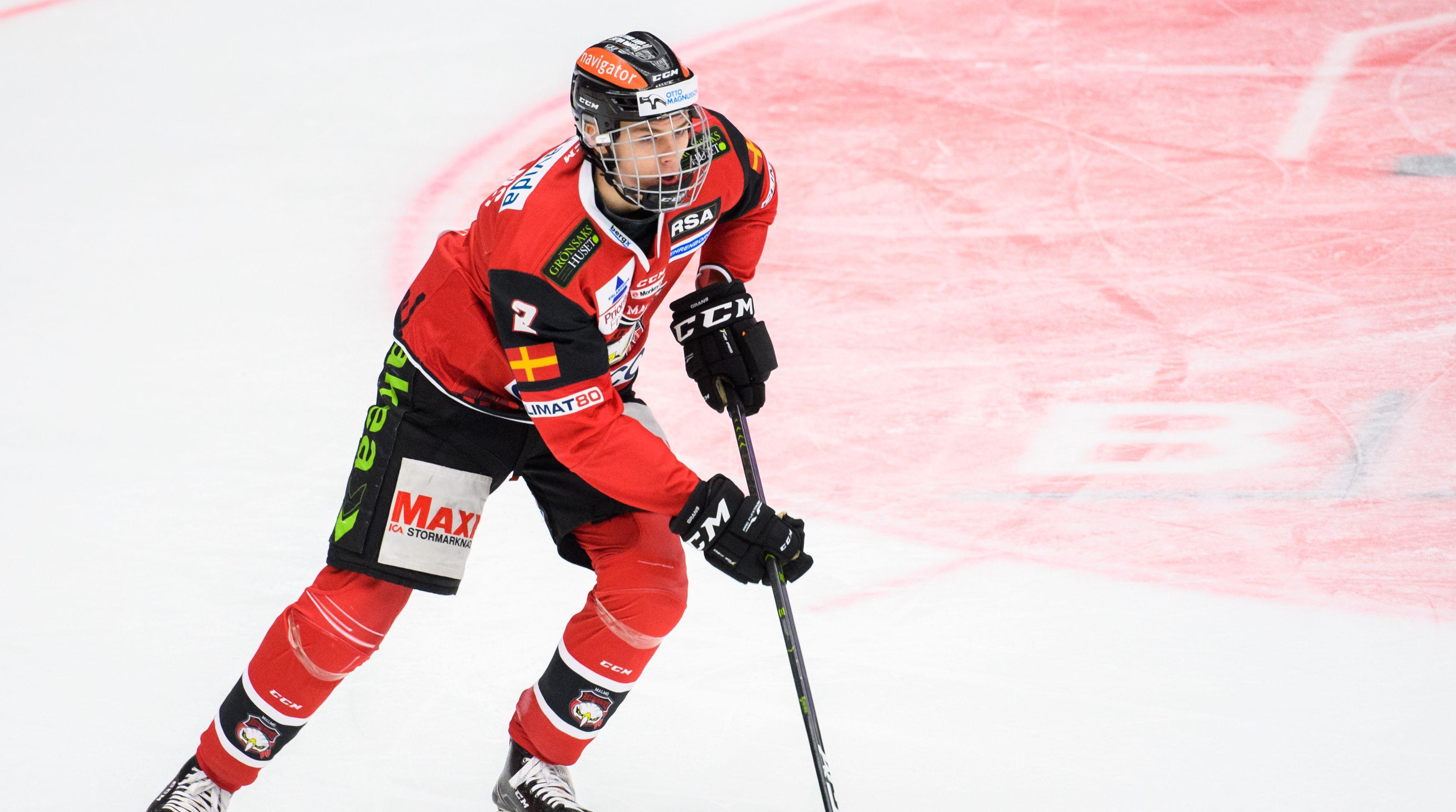 Stortalangen förlänger kontraktet med SHL-klubben