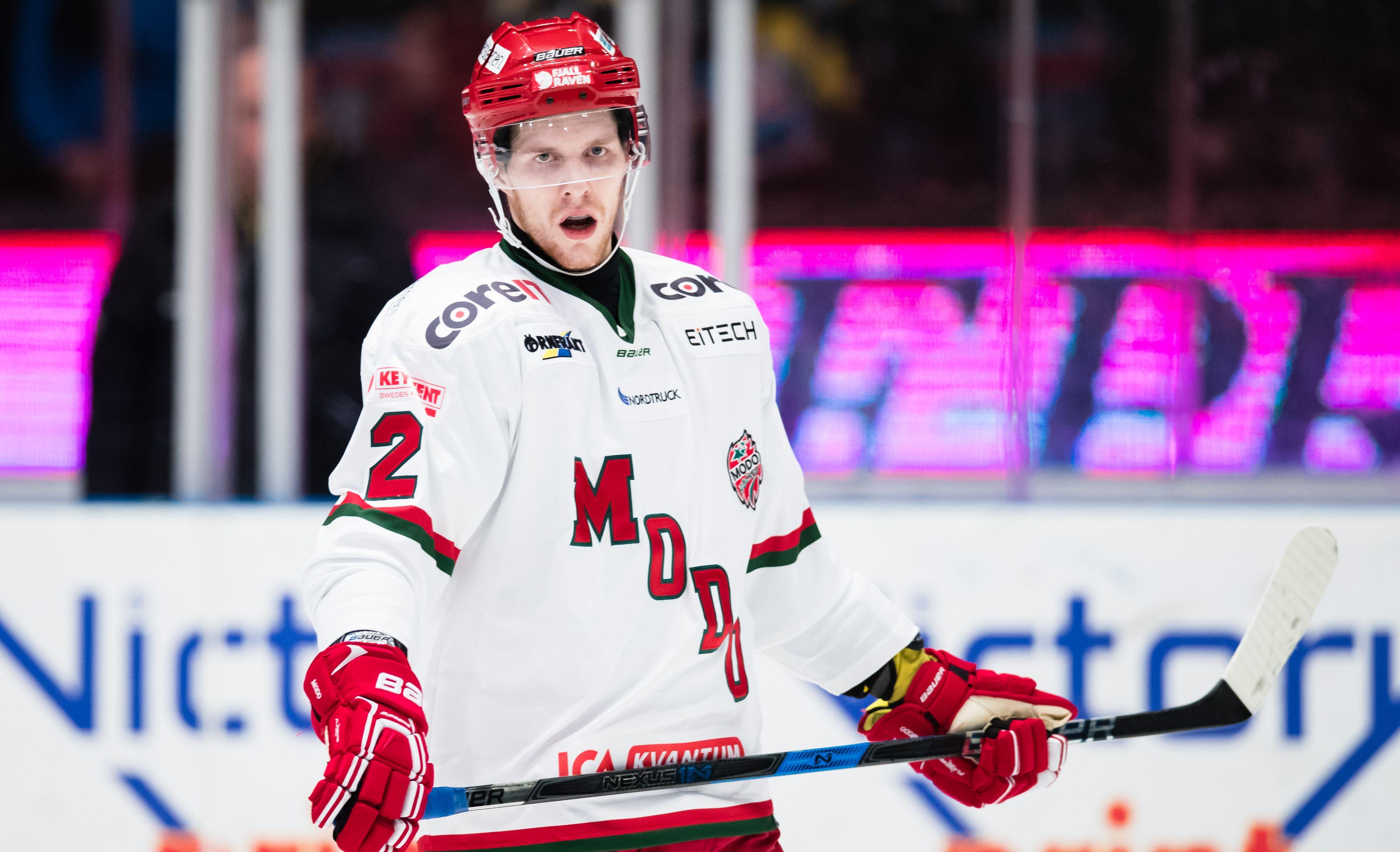 Back med allsvenska meriter till Hockeyettan-laget