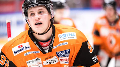 Henrik Toernqvist