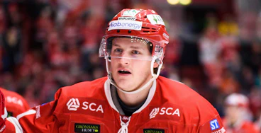 Henrik Toernqvist