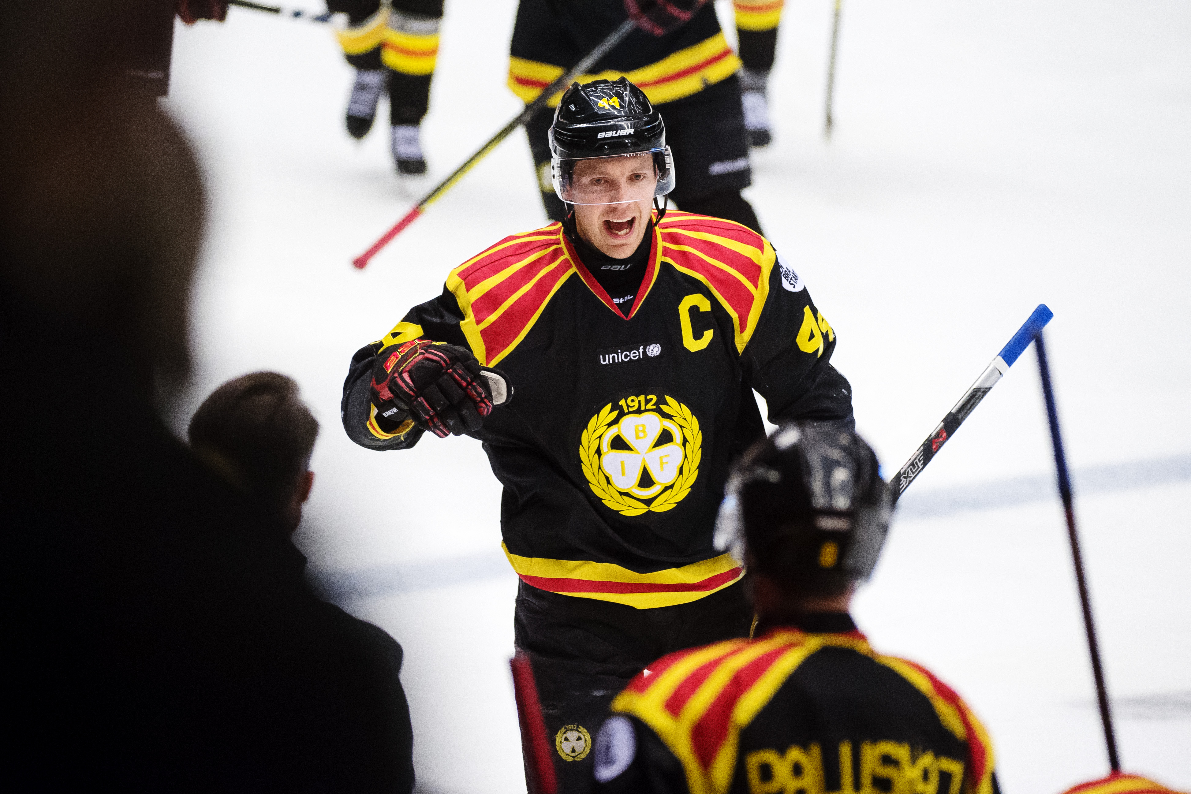 En vass Timrå-värvning