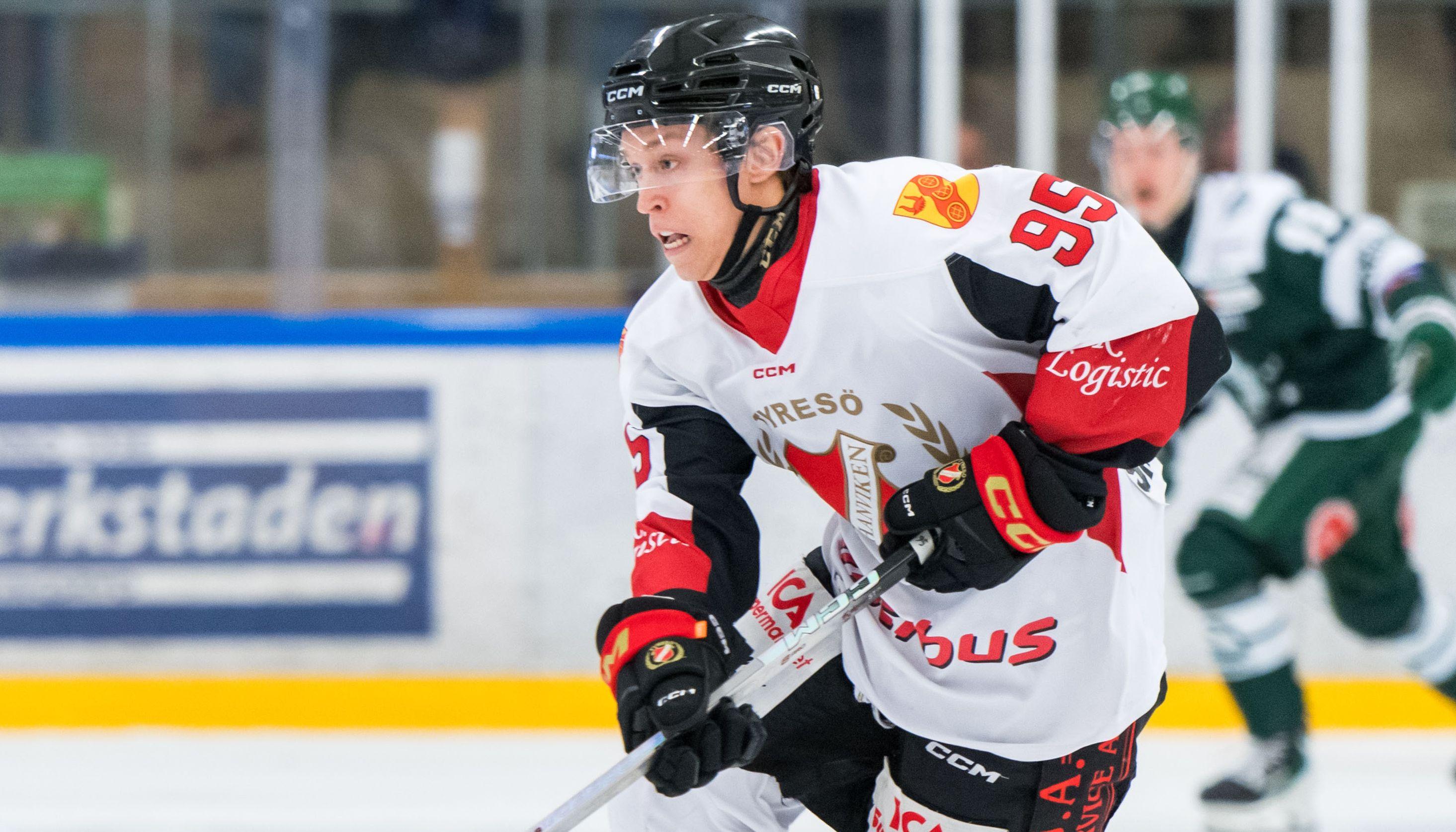 Vita Hästen förstärker