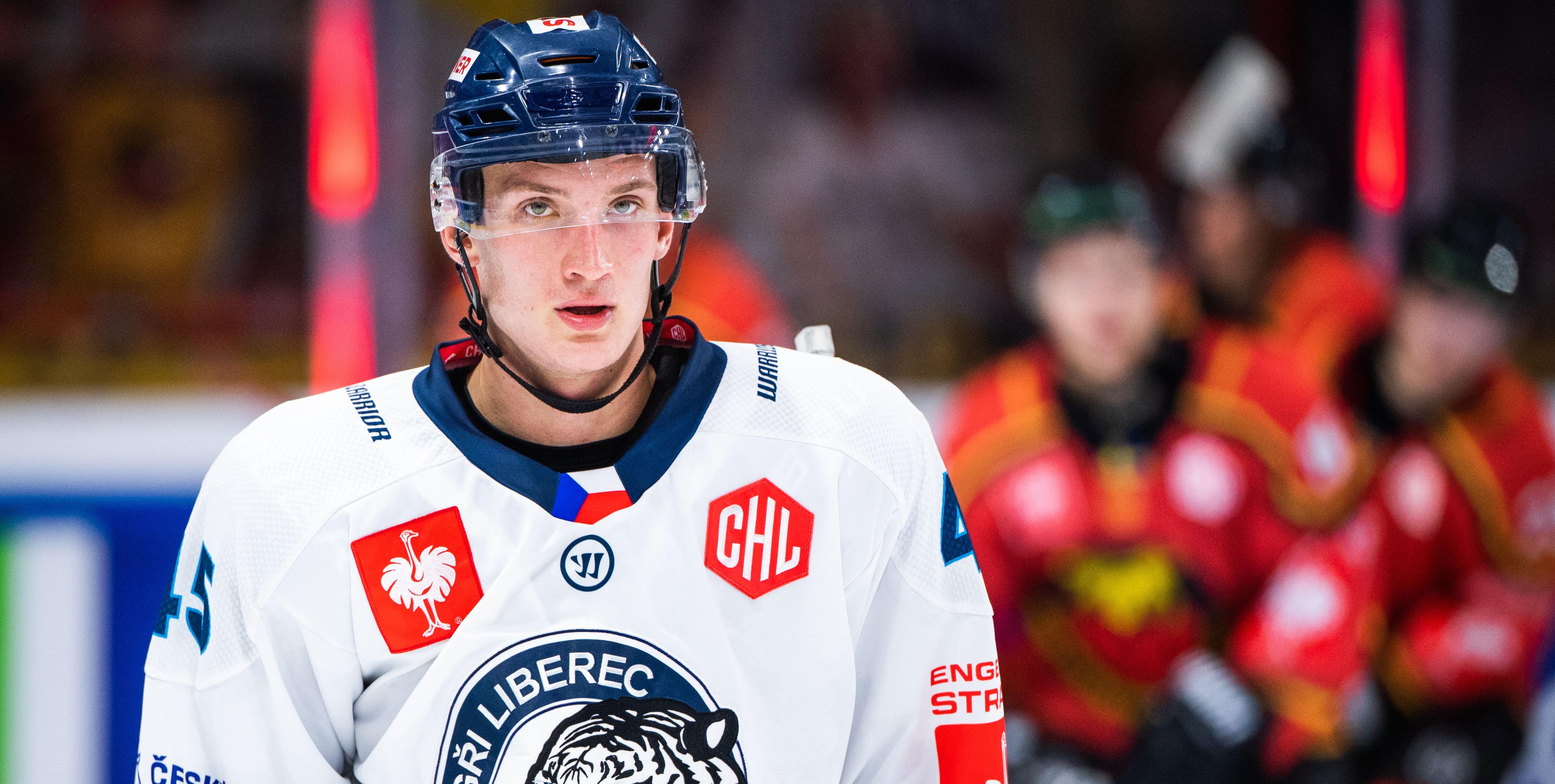 Den landslagsmeriterade tjecken hamnar i SHL