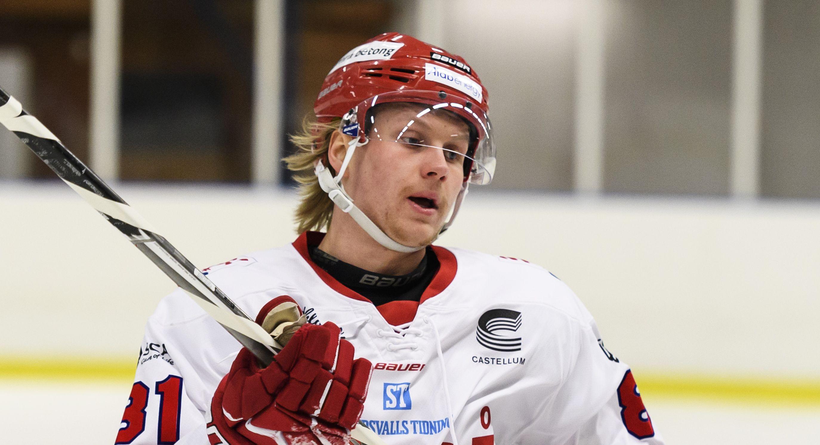 Lööke är tillbaka i svensk hockey