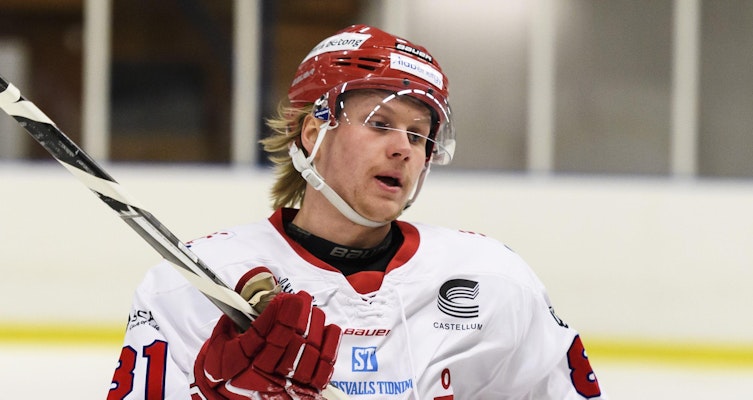 Lööke är tillbaka i svensk hockey