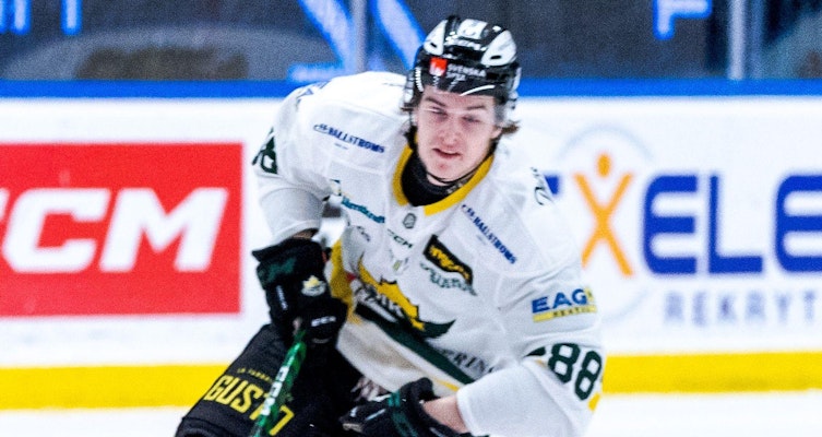 Forwarden med 33 HockeyAllsvenskan-matcher på meritlistan hamnar i Division 2