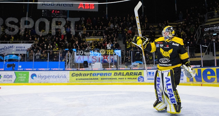 Dragskott rankar HockeyAllsvenskans tio bästa målvakter - plats 6-10