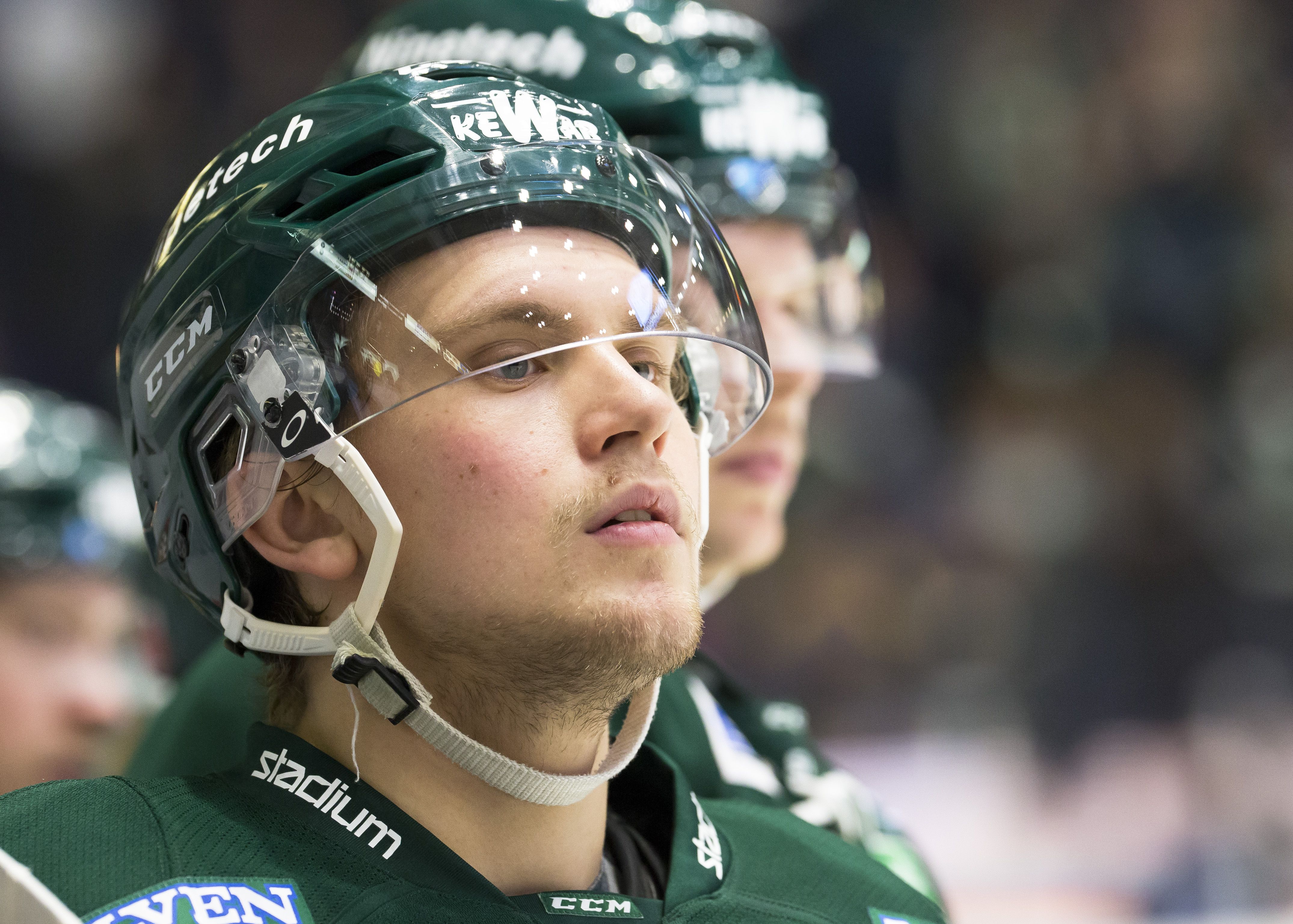 Den SHL-meriterade backen ansluter till Hockeyettan-laget