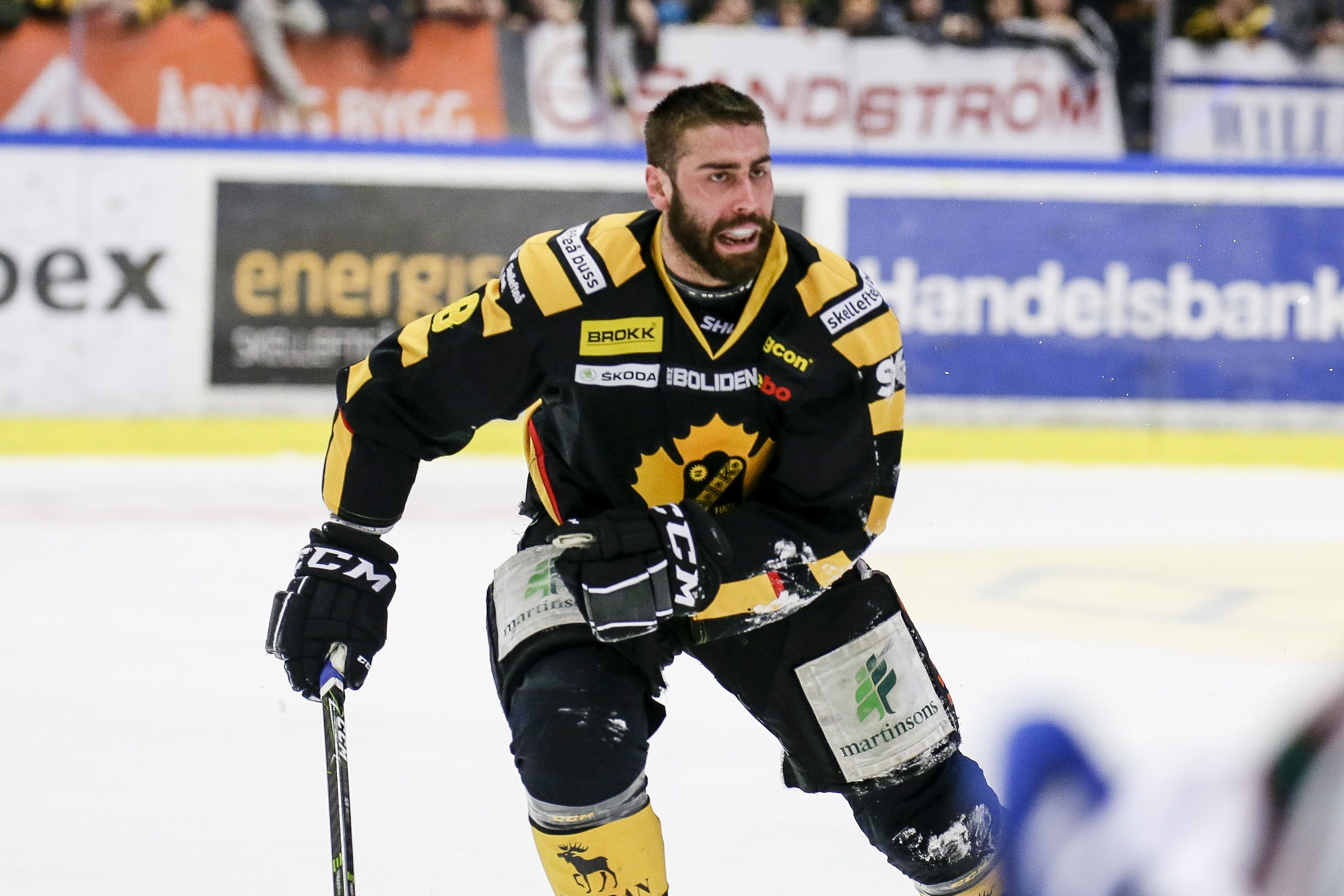 Skellefteås glädjebesked