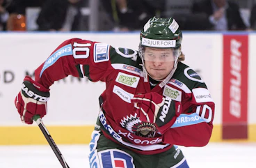 Johan Lindholm