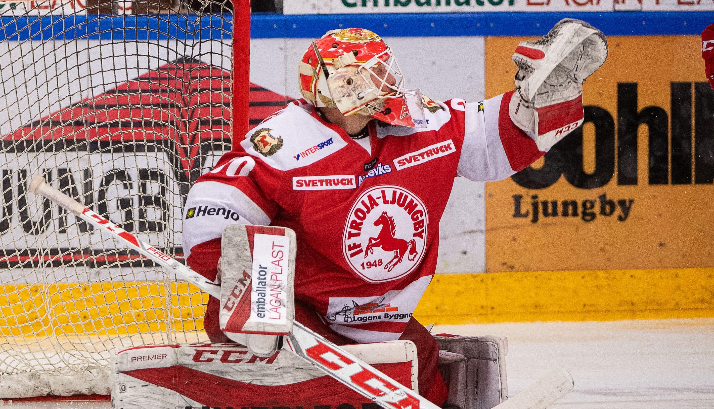 Den 26-årige målvakten lägger av