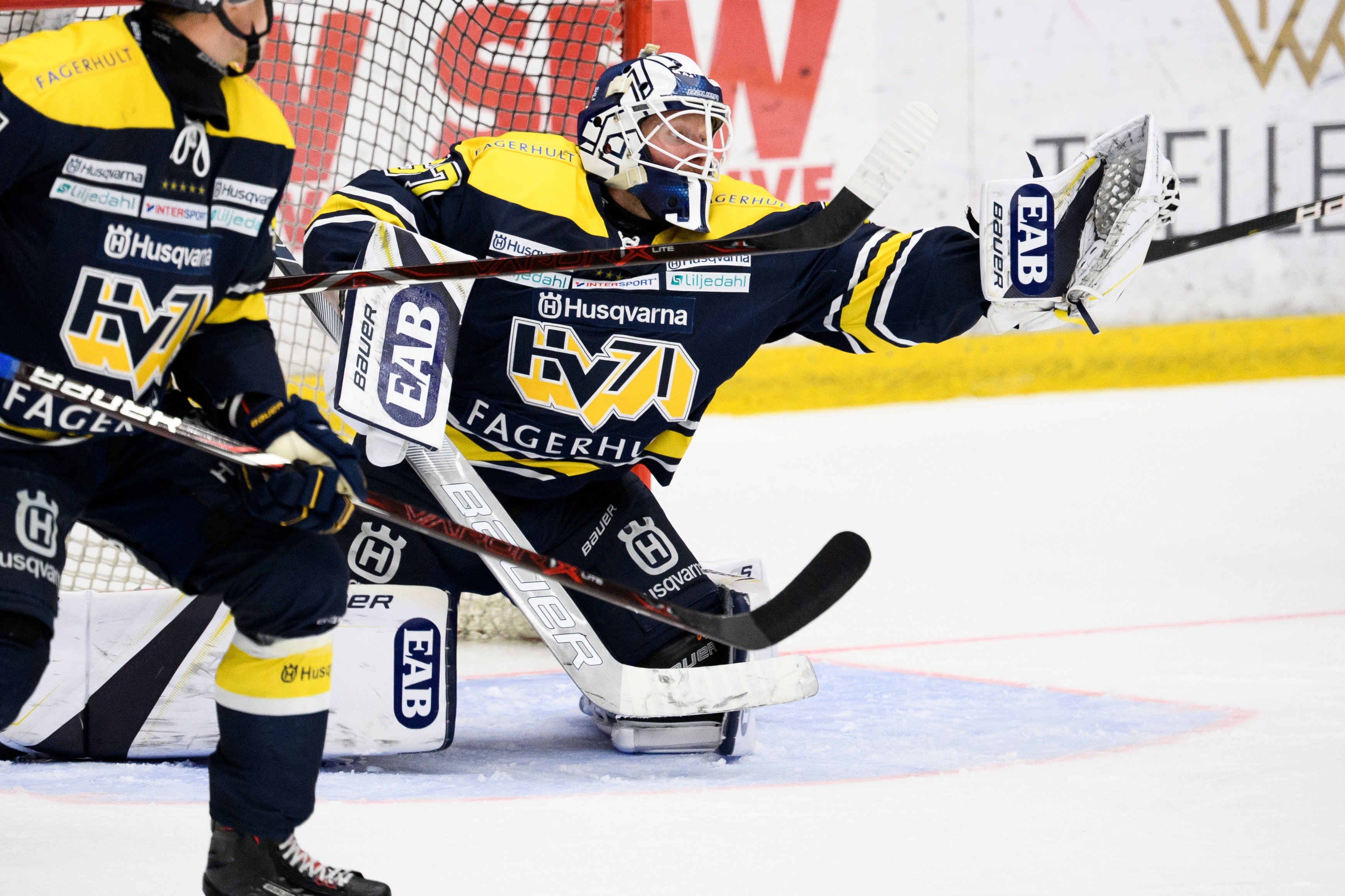 SHL December Review - 8. HV71 and 9. Djurgården