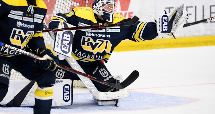 SHL December Review - 8. HV71 and 9. Djurgården