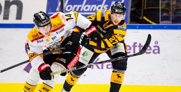 Jonas Berglund