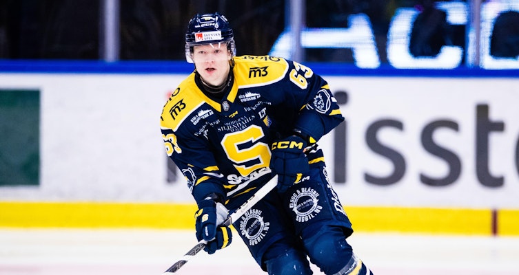 Besked om Julius Bergman