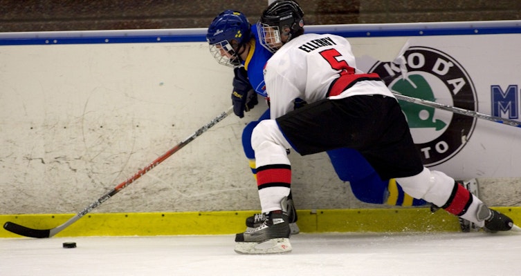 NHL-scouten om Mora-nyförvärvet: "Begränsade skills"