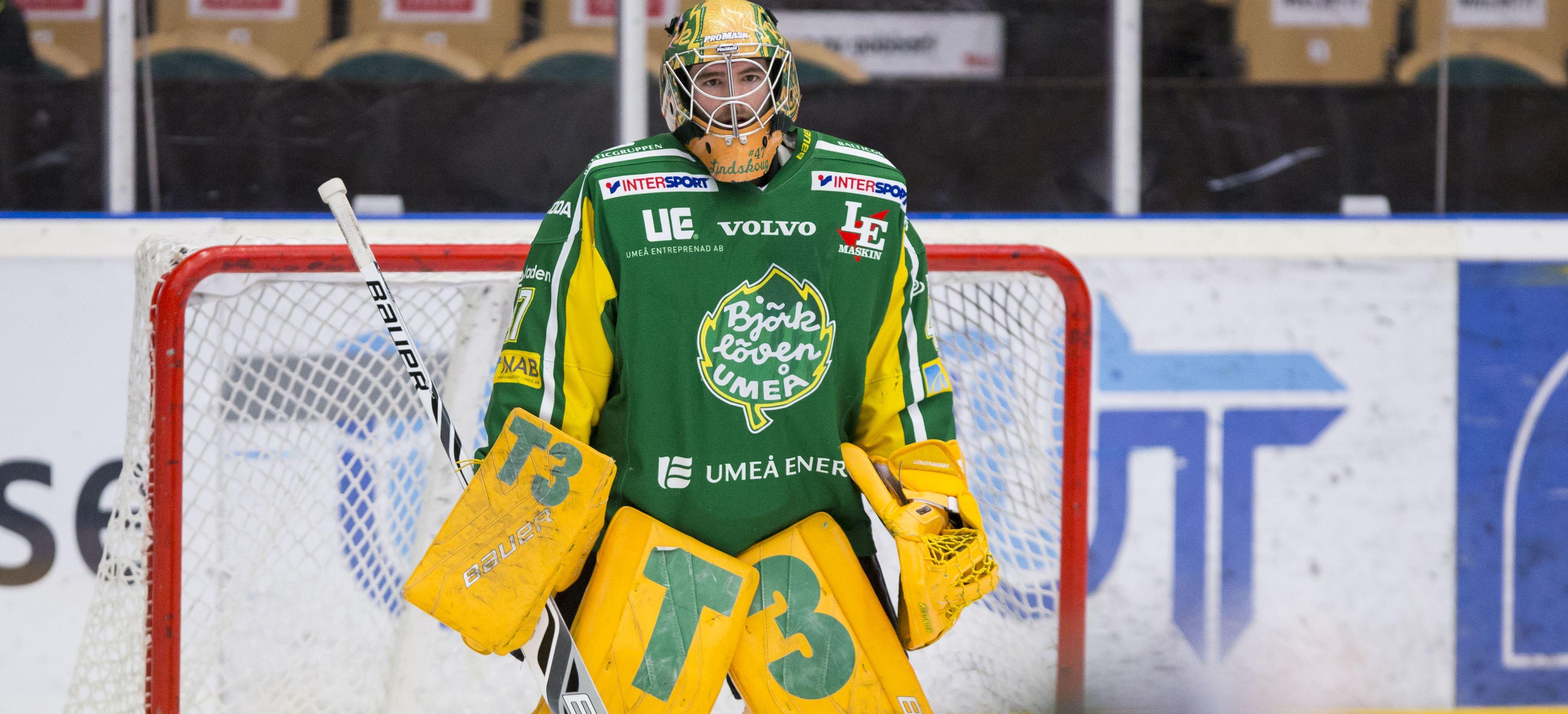 Bodens tungviktsvärvning - Björklöven-bekantingen förstärker