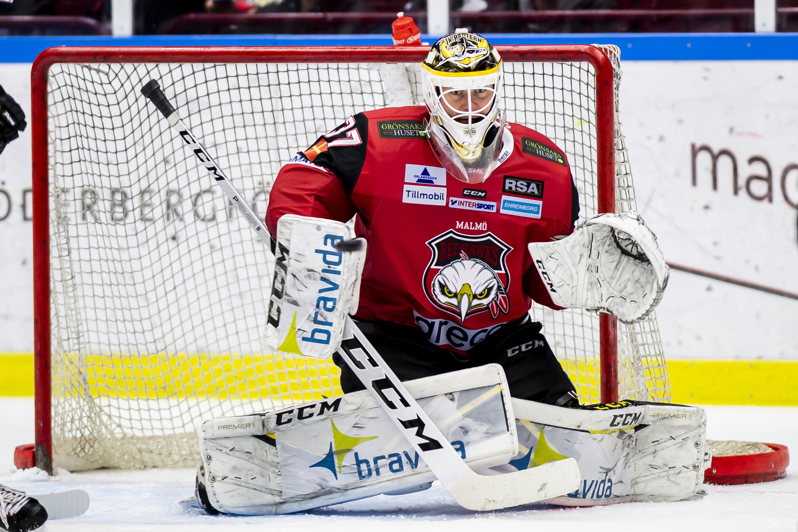 Lars Volden uppges ha bestämt sig - blir kvar i SHL