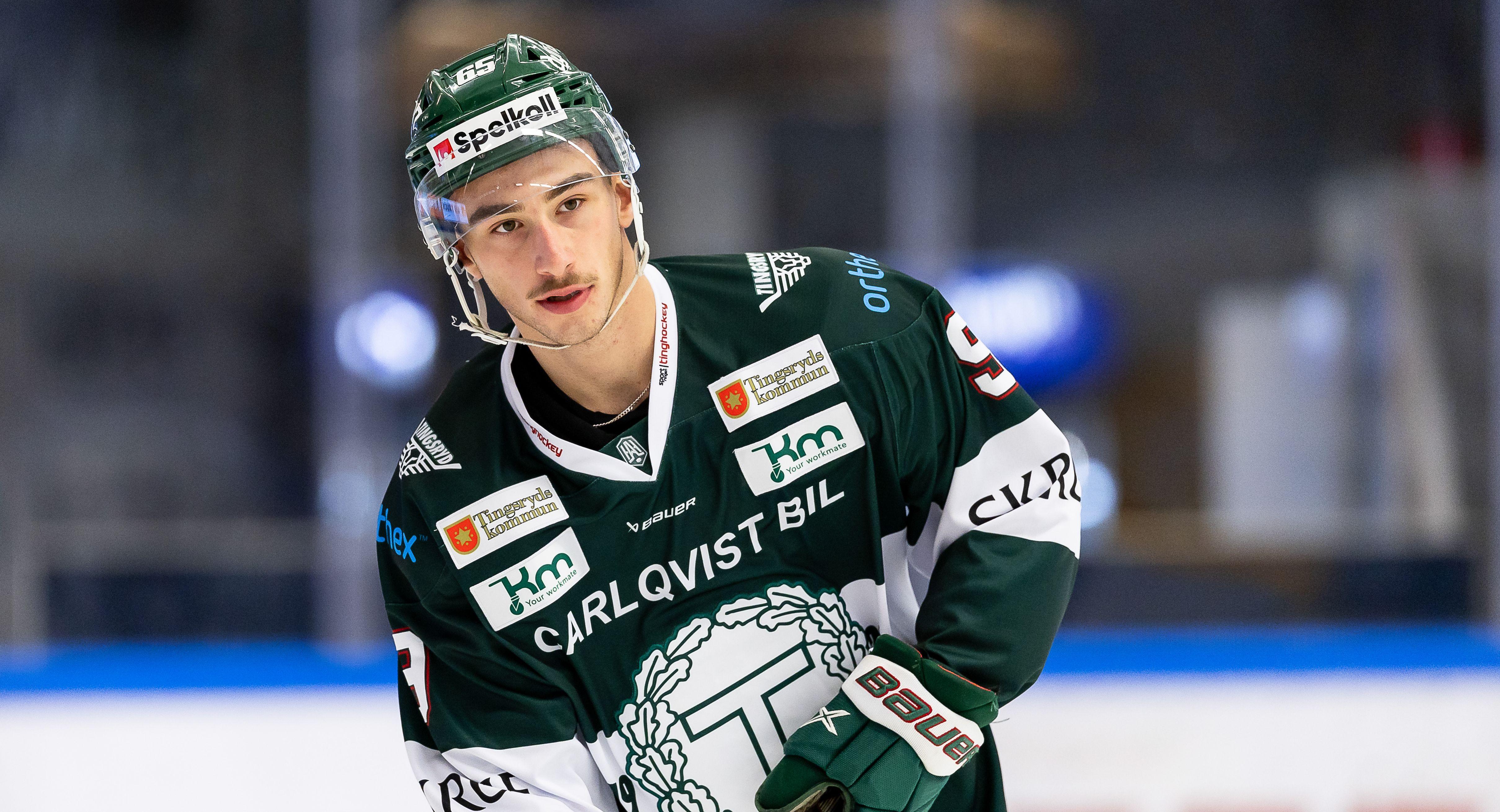 Värvar back med HockeyAllsvenskan-meriter