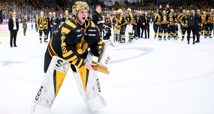 Lagdel för lagdel - de har SHL:s bästa...