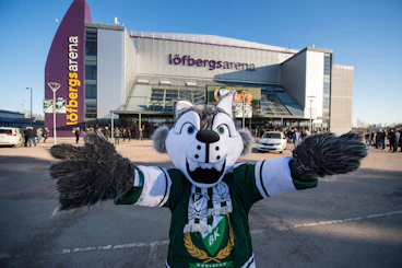 Loefbergs Arena
