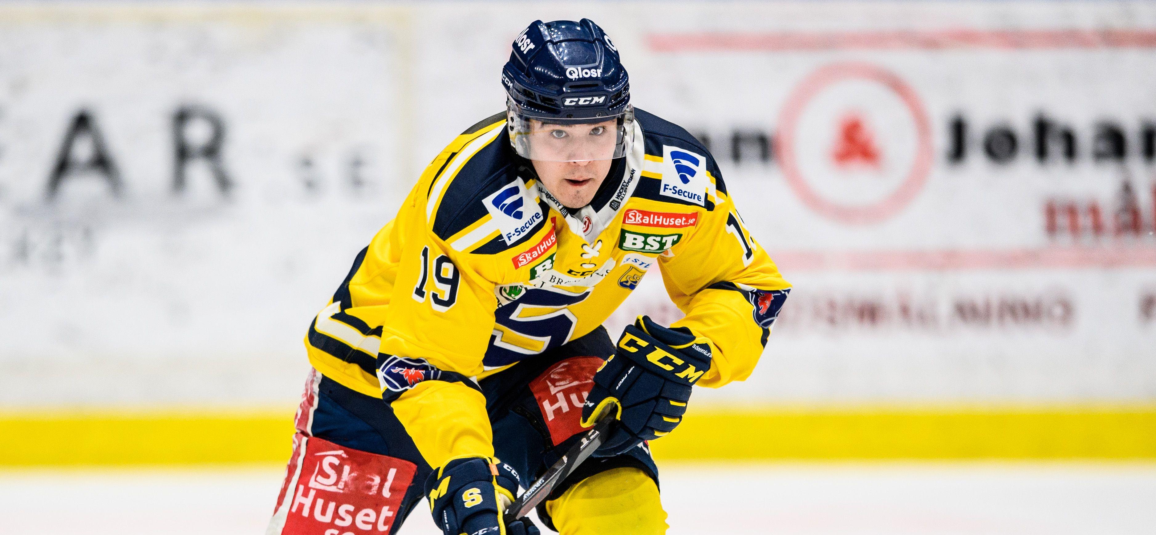 Forwarden med 374 matcher i HockeyAllsvenskan på meritlistan slutar