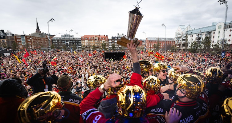 Rekordomsättning och plus i kassan för Luleå Hockey