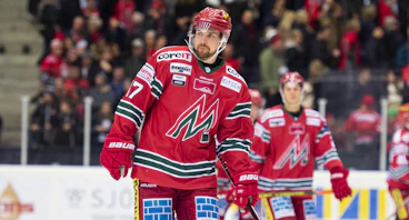 Magnus Haggstrom