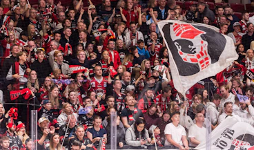 Malmofans2025 FOTO Christian Ornberg