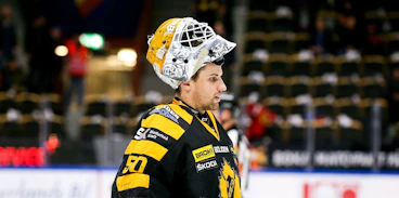 Mantas Armalis