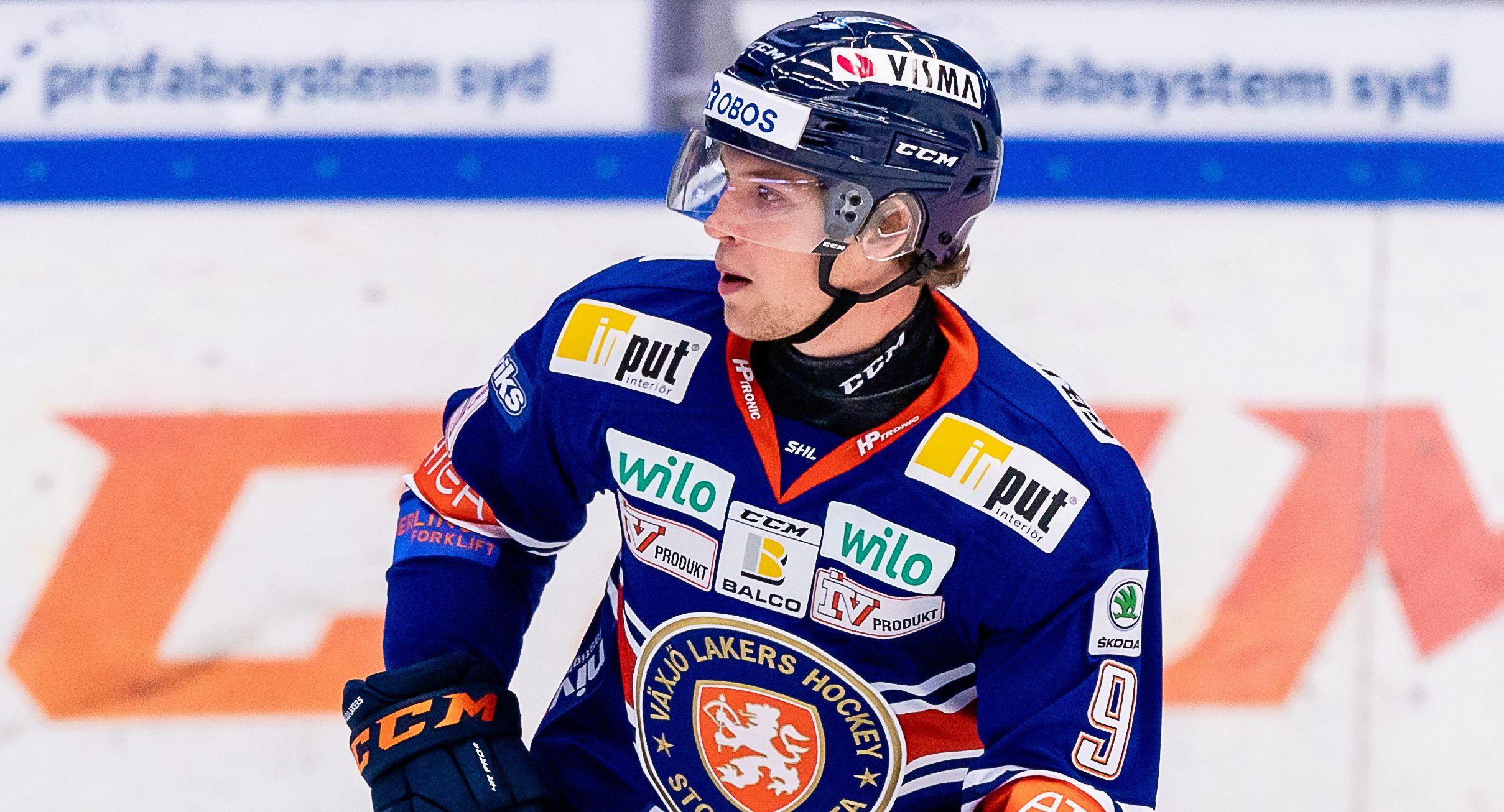 Marcus och Jonathan Davidsson väntas hamna i HockeyAllsvenskan