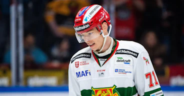 Marek Daloga