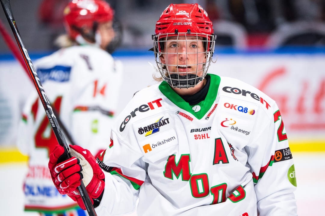 SDHL: MODO Hockey and Gothenburg HC win qualification playoffs