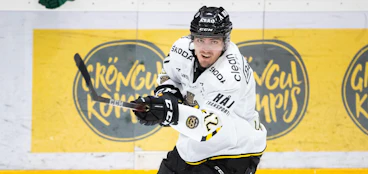 Max Lindholm FOTO Johan Lof