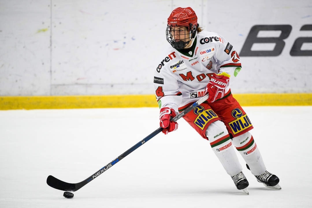 Preview: SDHL 2019/20 - Top names changing teams