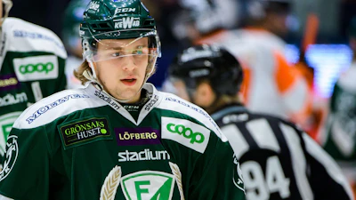 Mikael Hedlund